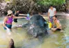Half-Day Elephant Sanctuary in Krabi - Ethical Wildlife Experience gallery image 5
