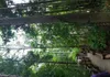 Jungle Tour: Hot Spring, Emerald Pool & Tiger Cave | Full Day Adventure gallery image 5