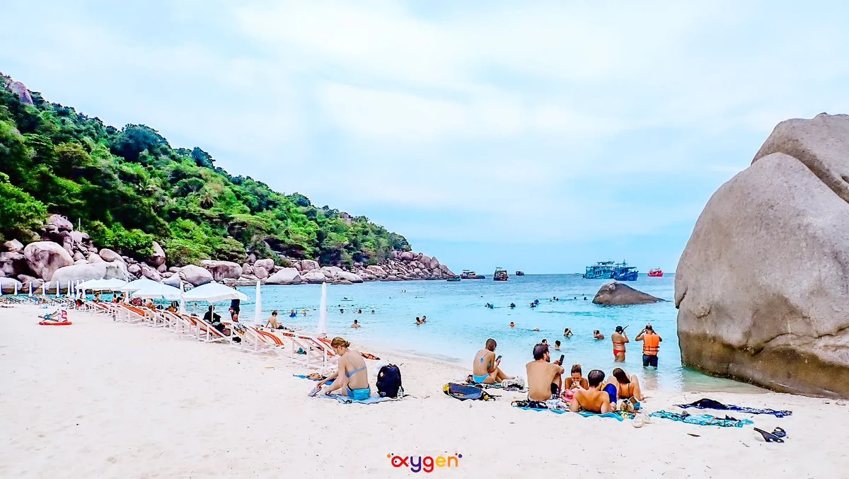 Morning Oxygen Snorkeling Tour