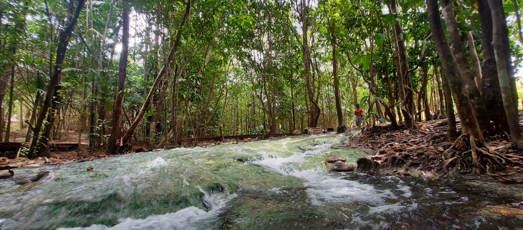 Jungle Tour: Hot Spring, Emerald Pool & Tiger Cave | Full Day Adventure