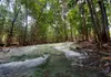 Jungle Tour: Hot Spring, Emerald Pool & Tiger Cave | Full Day Adventure gallery image 4