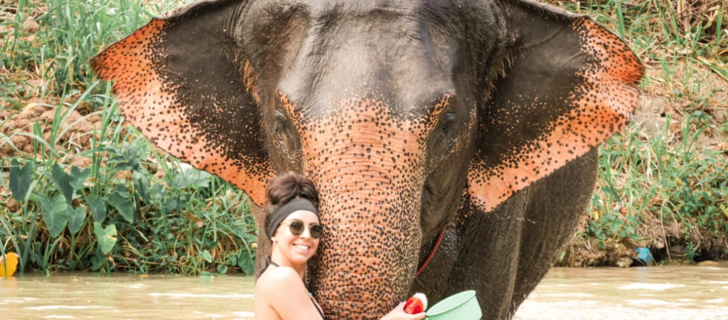 Half-Day Elephant Sanctuary in Krabi - Ethical Wildlife Experience
