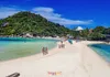 Afternoon Oxygen Snorkeling Tour gallery image 5