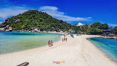 Morning Oxygen Snorkeling Tour