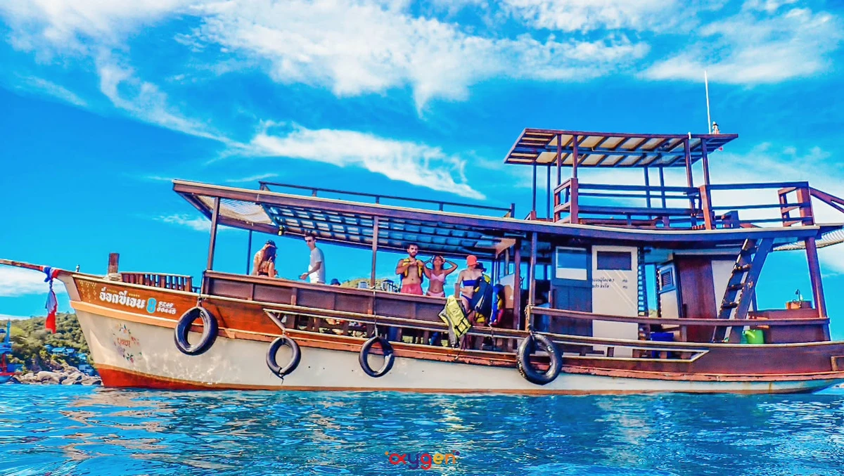 Morning Oxygen Snorkeling Tour