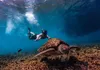 VIP Oxygen Snorkeling Tour gallery image 5