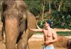 Half-Day Elephant Sanctuary in Krabi - Ethical Wildlife Experience gallery image 1